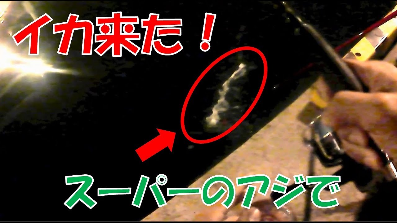 スーパーで買ってきたアジでアオリイカを狙う ヤエン釣り 2 海 沖 磯 川 湖 釣り動画まとめサイト 爆釣りマニア