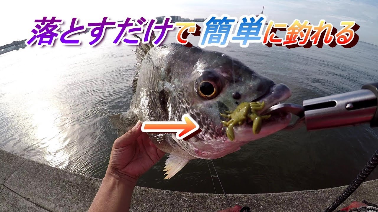 岸壁黒鯛ゲーム ワームとルアータックルで簡単にチヌが釣れる 海 沖 磯 川 湖 釣り動画まとめサイト 爆釣りマニア